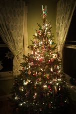 Decorated Christmas Tree 2008