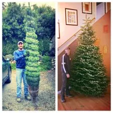 Taylor Family Christmas tree 2013