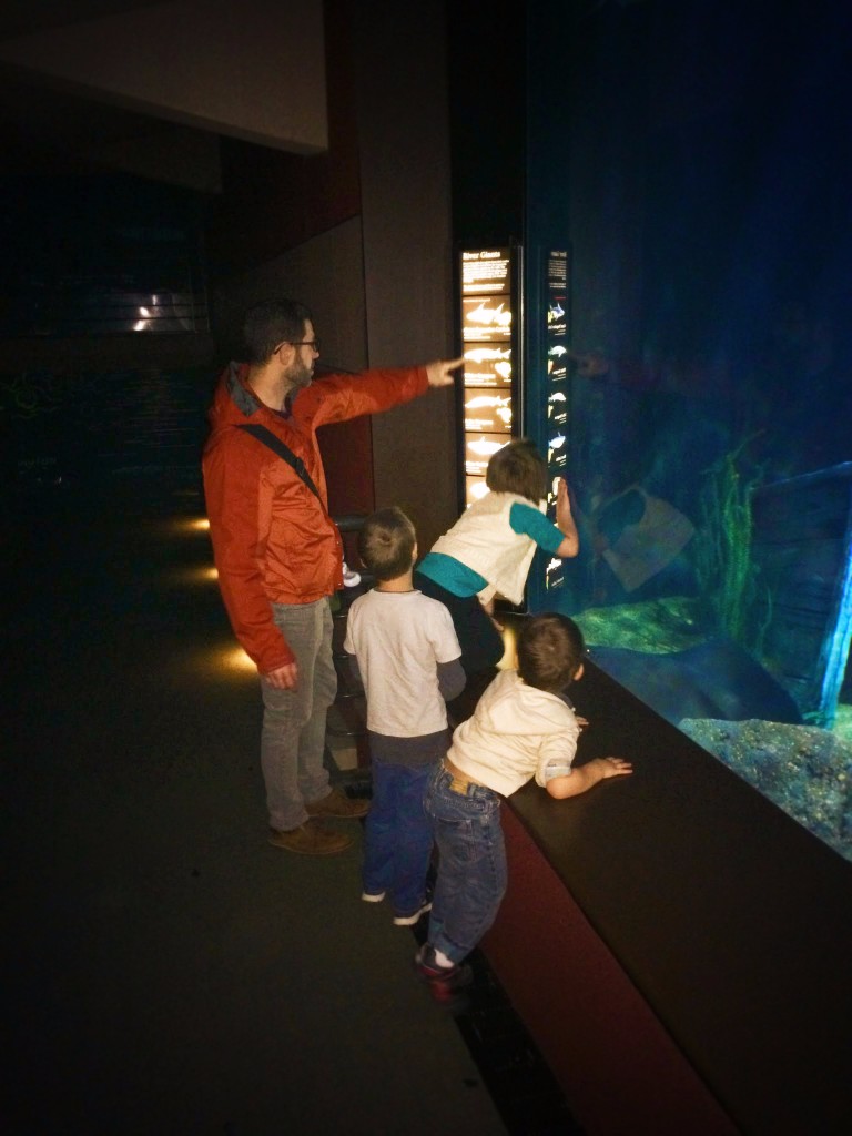Taylor Family at River Monsters tank Tennessee Aquarium 1