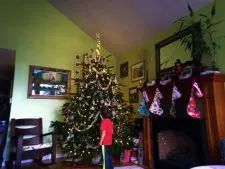 Taylor family decorating a Christmas tree 2015