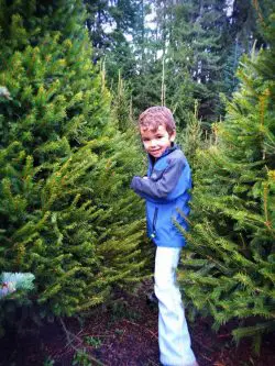 Supporting a local Christmas tree farm is a sustainable practice and way to celebrate the holidays while helping families get through their year.