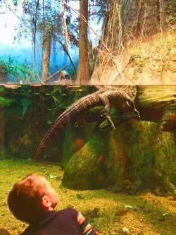 Taylor Kids at Mississippi Delta exhibit Tennessee Aquarium 1