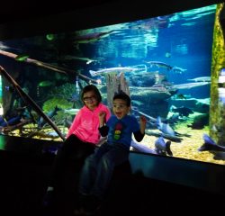 Taylor Kids at Rivers of the World exhibit Tennessee Aquarium 2