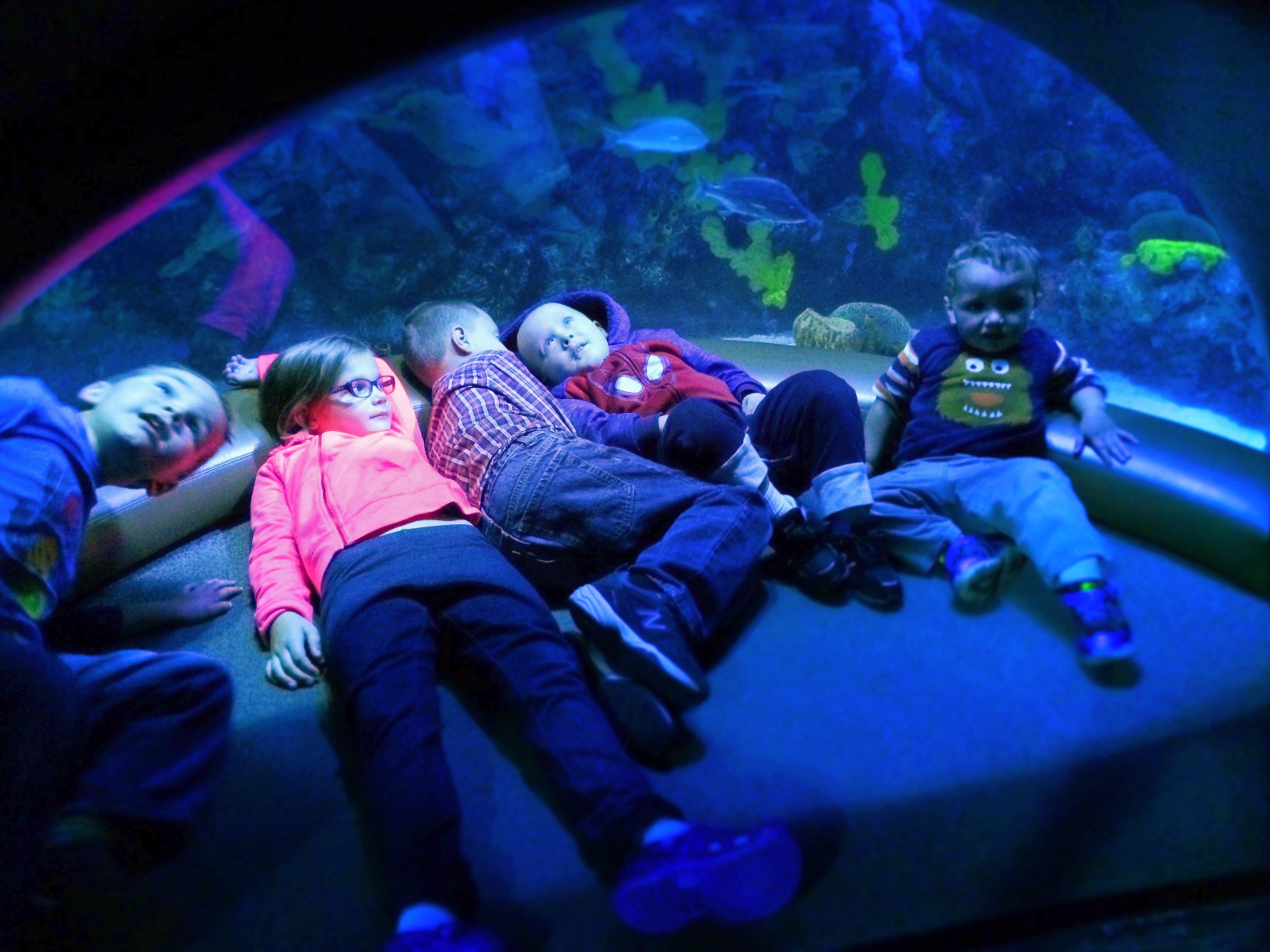 Taylor Kids at Secret Reef Tank Ocean Journey Tennessee Aquarium 3