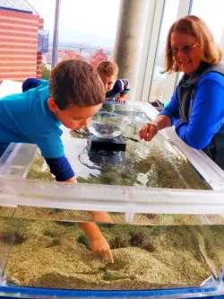 Taylor Kids at Touch Tank Tennessee Aquarium 1