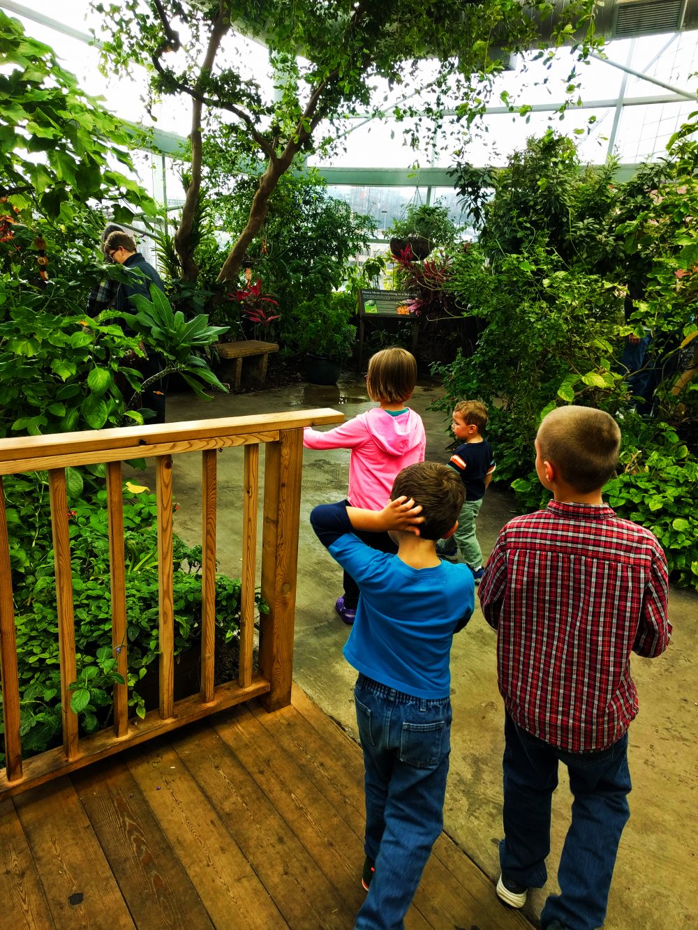 Taylor Kids in Butterfly Garden in Atrium at Tennessee Aquarium 1