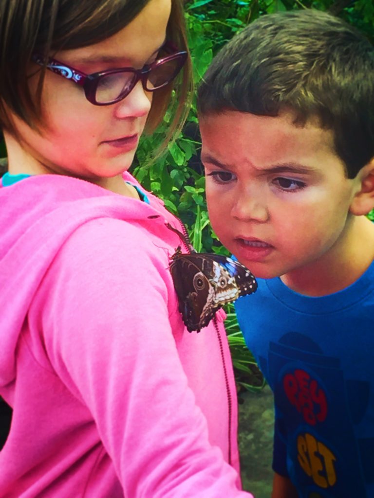 Taylor Kids in Butterfly Garden in Atrium at Tennessee Aquarium 2