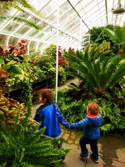Taylor Kids in Volunteer Park Conservatory Capitol Hill Seattle 1