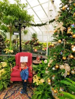 Taylor Kids in Volunteer Park Conservatory Capitol Hill Seattle 5