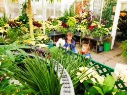 Taylor Kids in Volunteer Park Conservatory Capitol Hill Seattle 6