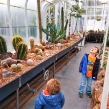 Taylor Kids in Volunteer Park Conservatory Capitol Hill Seattle 7