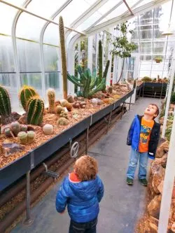 Taylor Kids in Volunteer Park Conservatory Capitol Hill Seattle 7