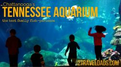 The USA has many aquariums, but the Tennessee Aquarium in Chattanooga provides the best collection of species with learning and visible conservation effort.