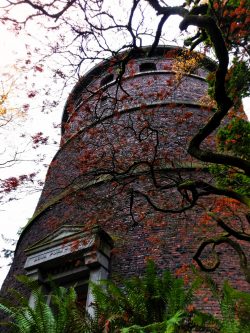 Volunteer Park Water Tower Capitol Hill Seattle 1