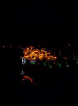 Baoji Colorful Golden Dragon at Night Shaanxi 1