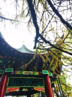 Buddhist Temples at Taibai Mountain National Park 12