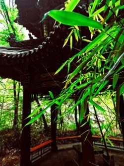 Buddhist Temples at Taibai Mountain National Park 6