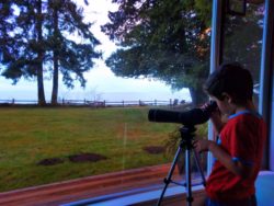 Looking through the telescope at Domaine Madeleine Port Angeles 1