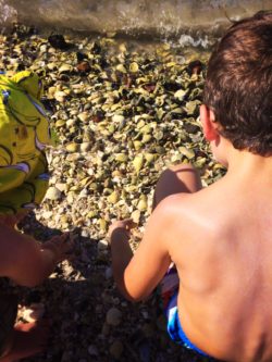 Taylor Kids finding Shells on Beach in La Paz BCS Mexico 1