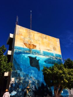 Wyland undersea mural along Malecon La Paz Baja California Sur 1