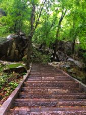 Staircase in the woods at Taibai Mountain National Park 1
