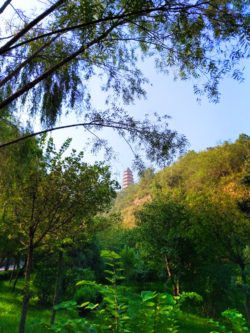 Baota Pagoda Yanan Shaanxi 4