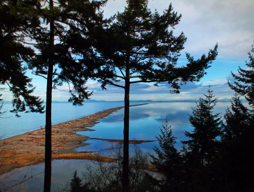 Dungeness Spit National Wildlife Refuge Sequim 1