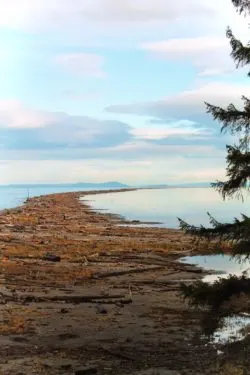 Dungeness National Wildlife Refuge Sequim 3