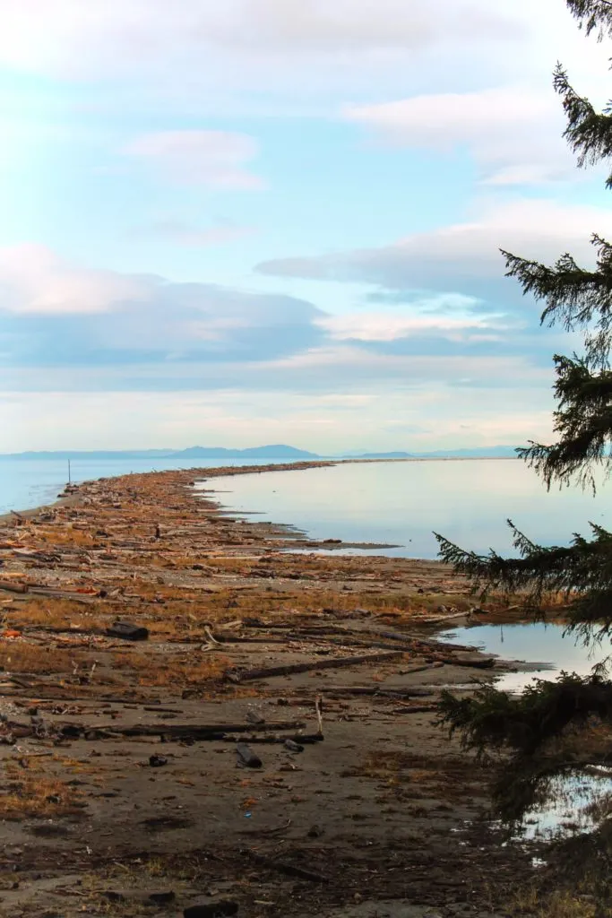 Dungeness National Wildlife Refuge Sequim 3