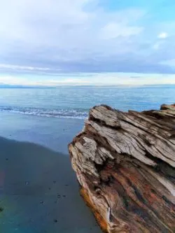 Dungeness Spit National Wildlife Refuge Sequim 7