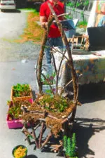 Forest Chair Port Townsend Farmers Market 1