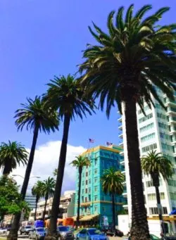 Hotels on Ocean Blvd Santa Monica Bluffs walk 1