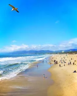 Looking north at Santa Monica Pier and Beach 1