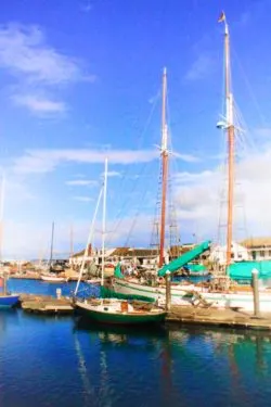 Sailboats in Hudson Point Marina Port Townsend 1