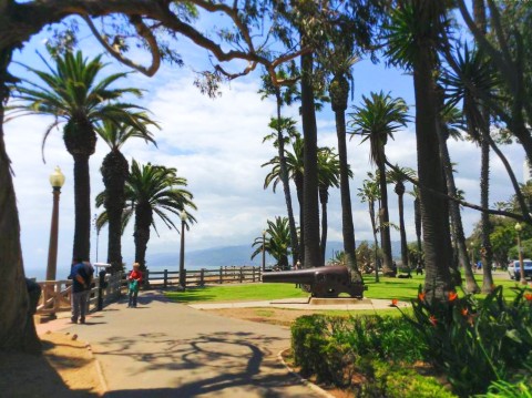 Santa Monica Bluffs walk with cannon 04