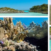 Family travel to Turks and Caicos is a dream trip with wildlife, snorkeling, perfect beaches and national parks read for exploring. 2traveldads.com
