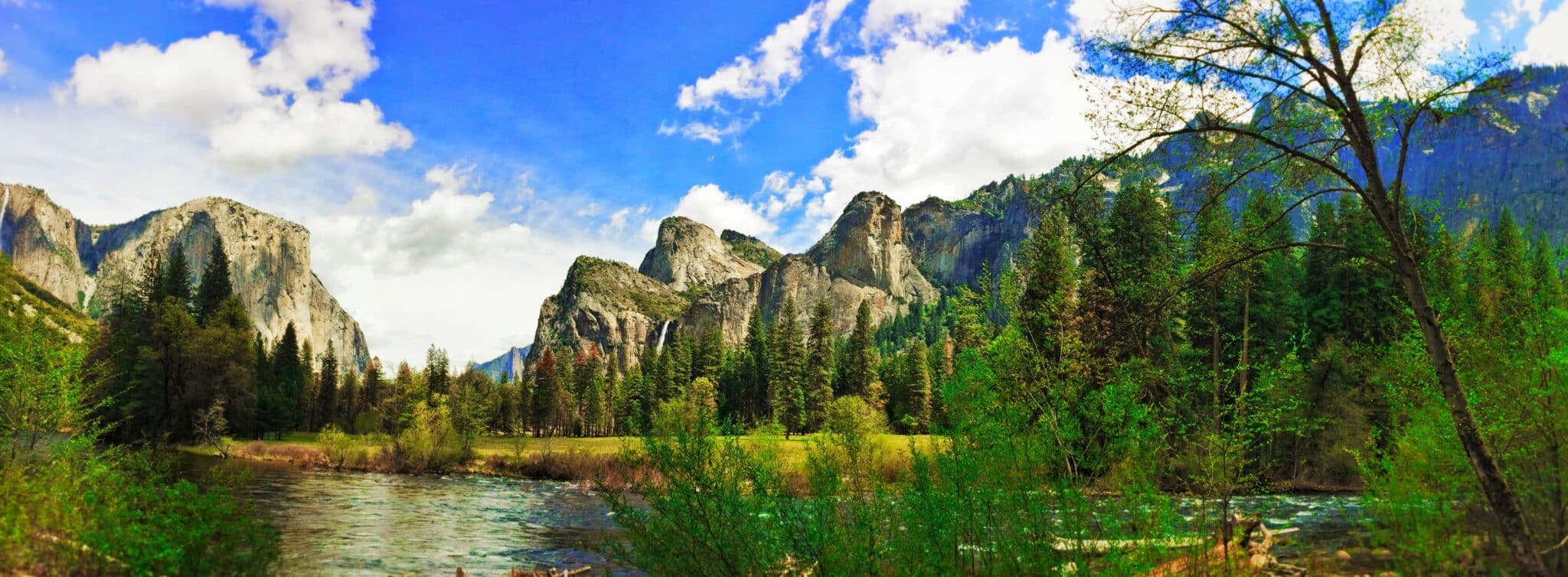 Yosemite National Park family travel guide