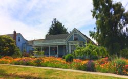 Victorian home with flowers Uptown Port Townsend 1