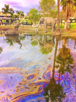 LaBrea Tarpits Sculptures in Large Pond Los Angeles 1