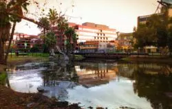 LaBrea Tarpits Sculptures in Large Pond Los Angeles 7