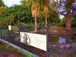 Mammoth Pit at LaBrea Tar Pits Los Angeles 1