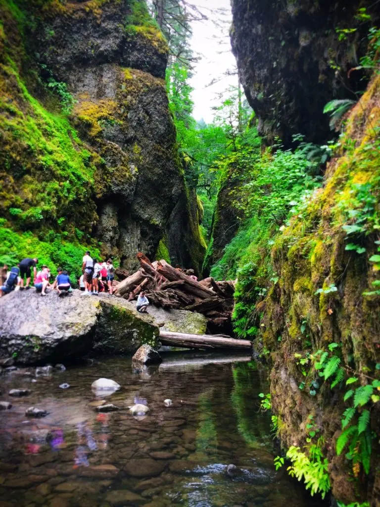 Mossy rocks at Oneonta Creek Columbia Gorge Waterfalls Area 3