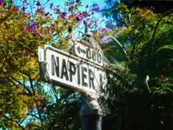 Napier Lane sign on Telegraph Hill Greenwich Staircase 1