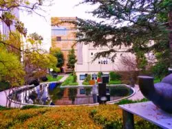 Outdoor Sculpture Garden at LACMA Los Angeles 1