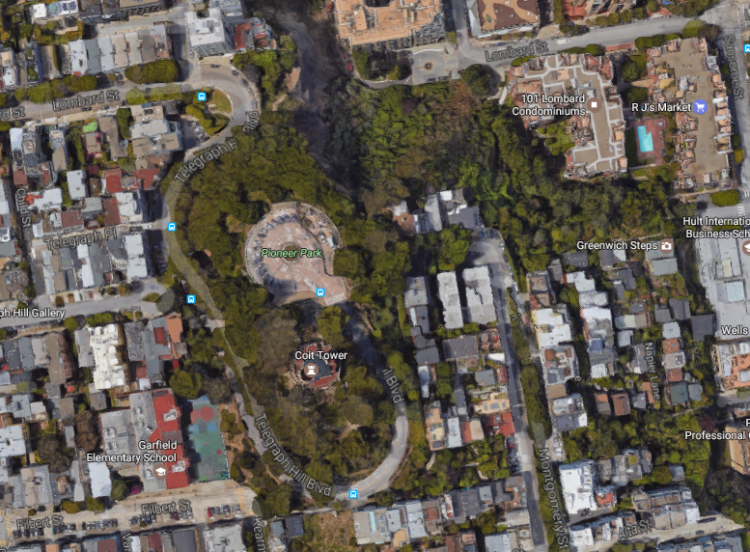 San Francisco’s Telegraph Hill: Greenwich & Filbert Steps Parrots ...