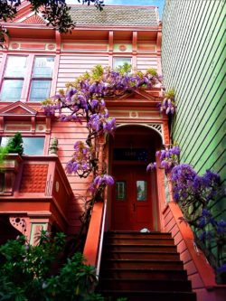 Victorian Row house in San Francisco with wysteria 1