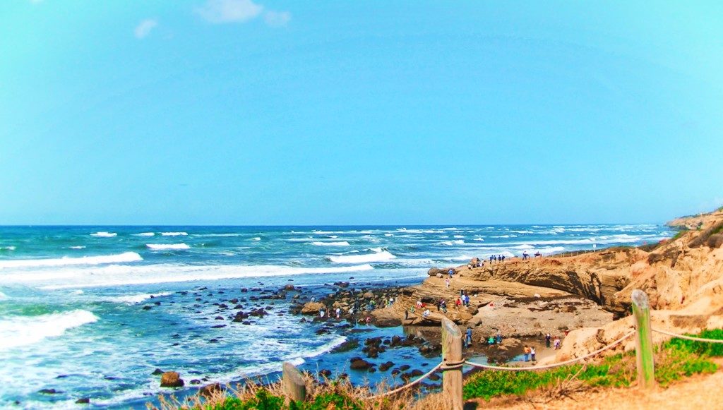 Visitors at Tidepools Cabrillo National Monument San Diego 1