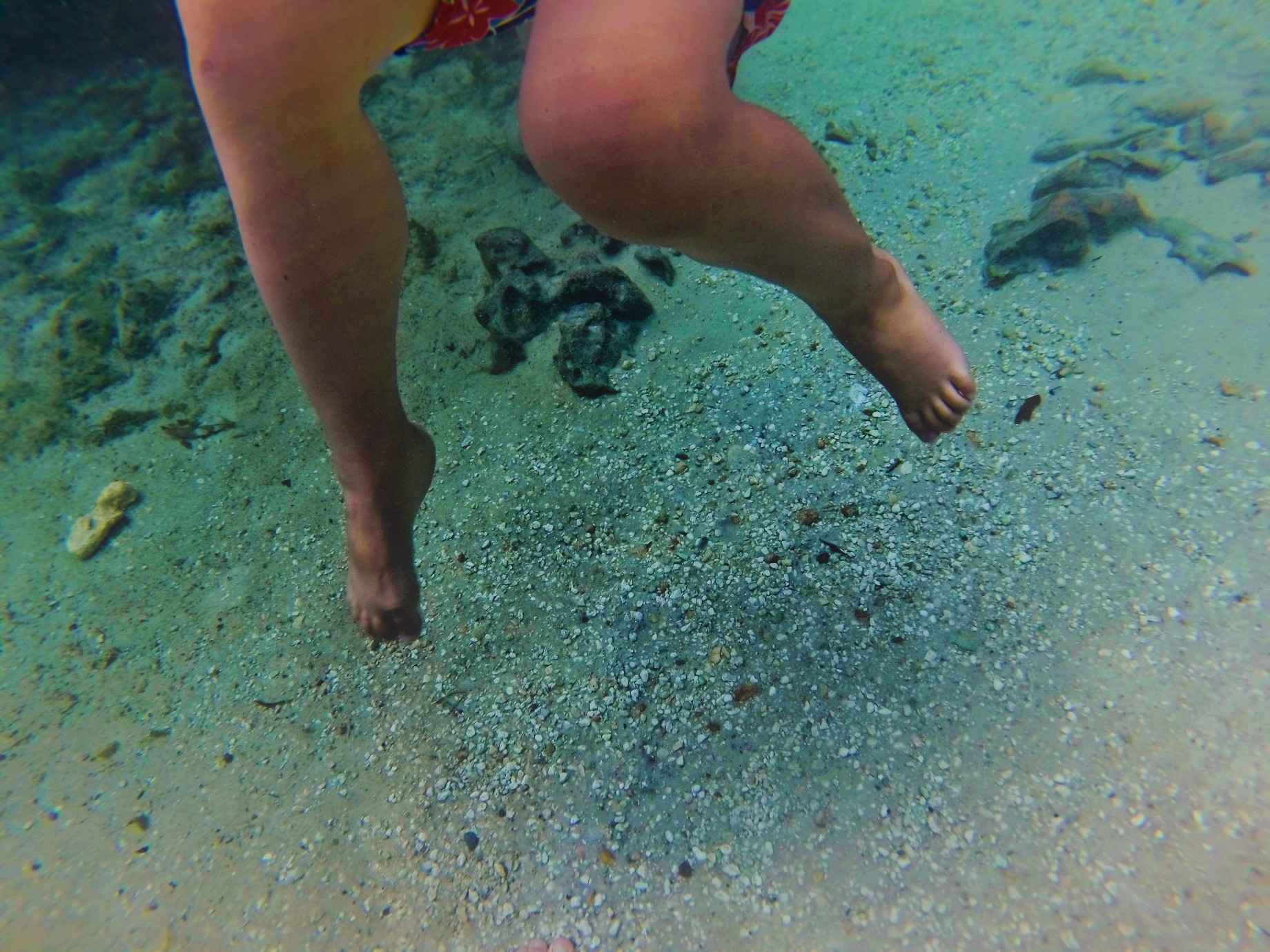 Baby feet in Crystal Clear water at Rainbow Springs State Park 1