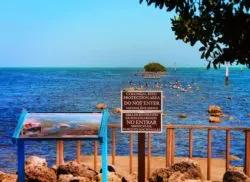 Bird Refuge at Biscayne National Park 1