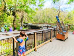 Canoe rentals at Rainbow Springs State Park Florida 1